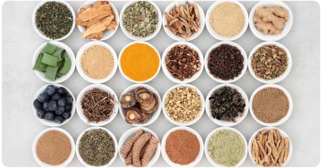 benefits of adaptogens