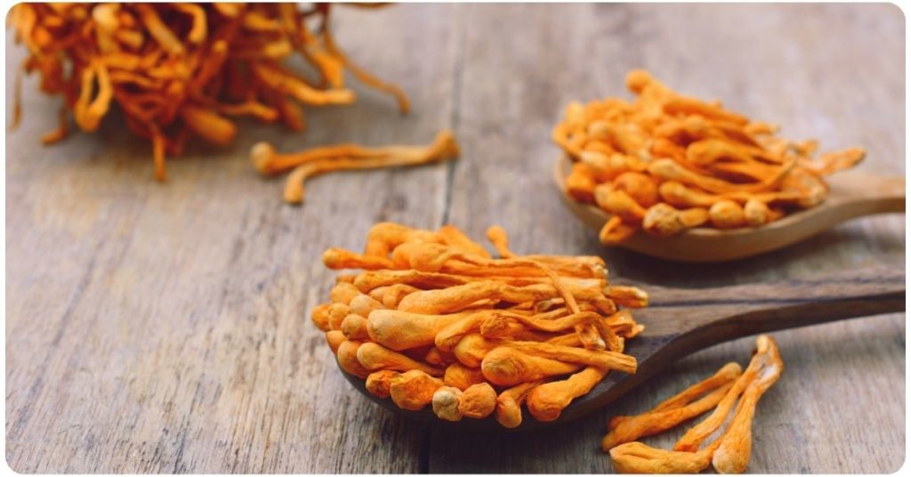 cordyceps nutrition and micronutrients