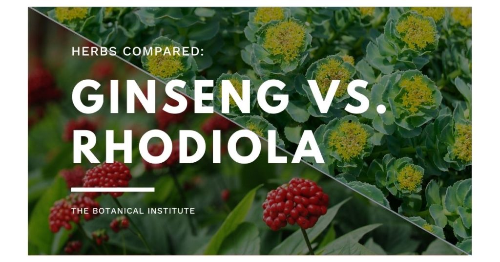 health benefits of ginseng vs. rhodiola