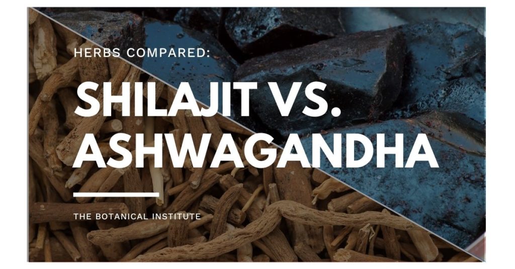 health benefits of shilajit vs. ashwagandha