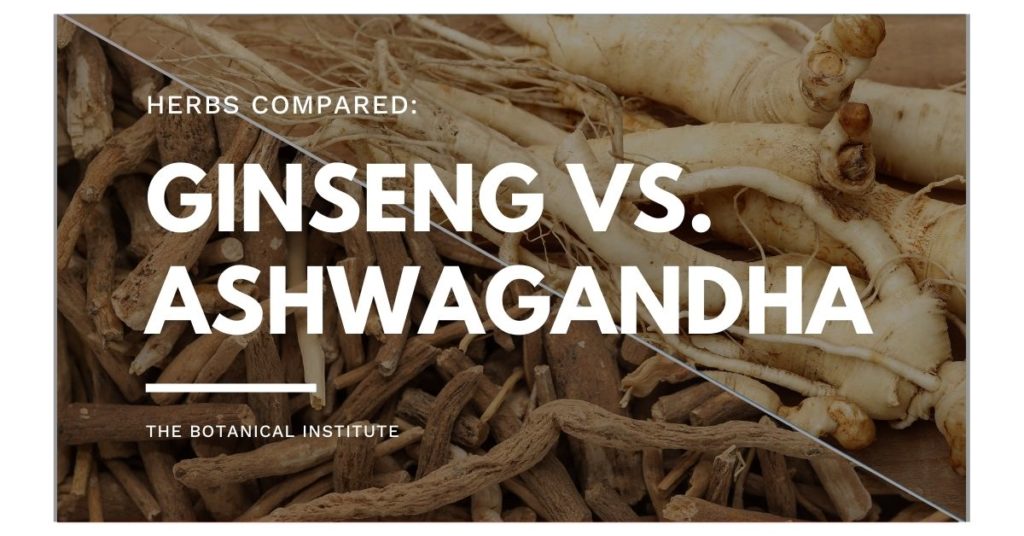differences between ashwagandha vs. ginseng