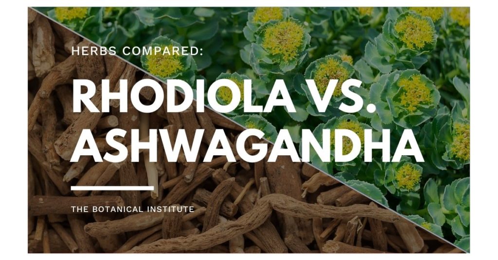 health benefits of rhodiola vs ashwagandha compared and contrasted