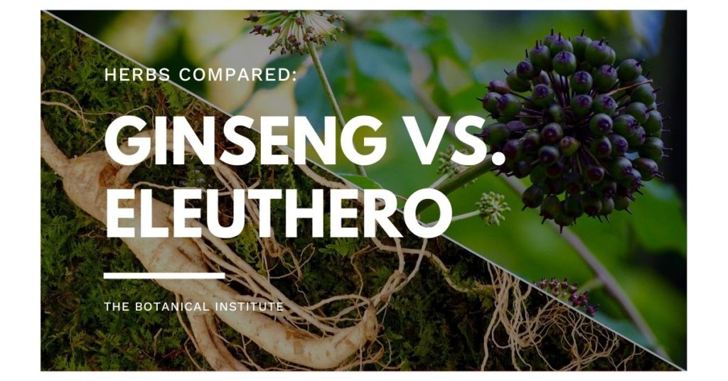 eleuthero vs. ginseng