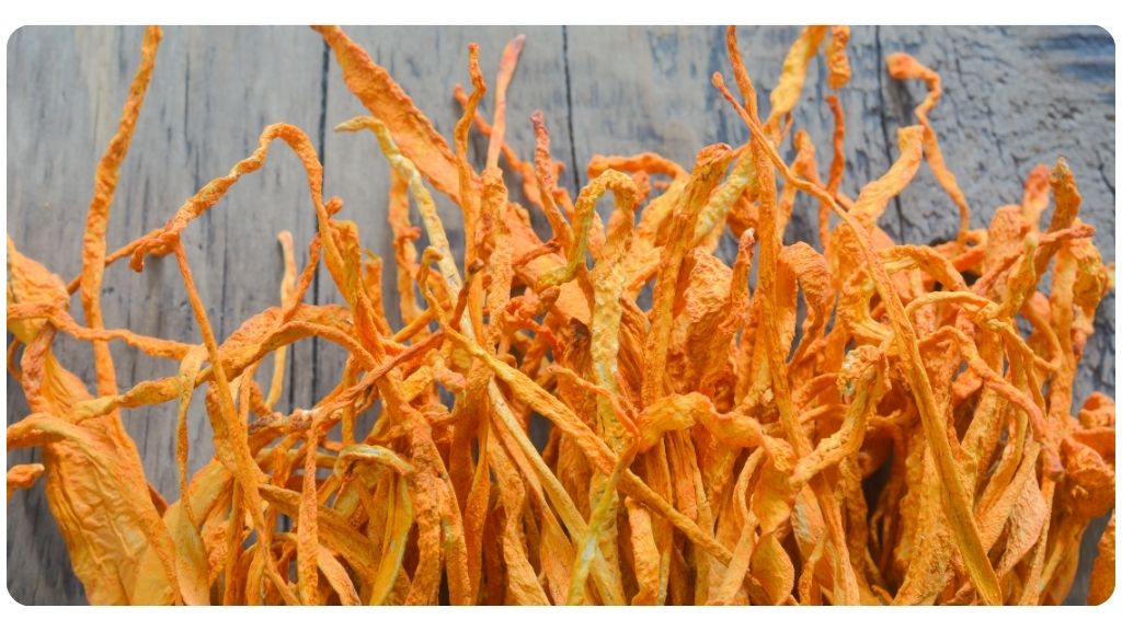 adaptogens for fat loss