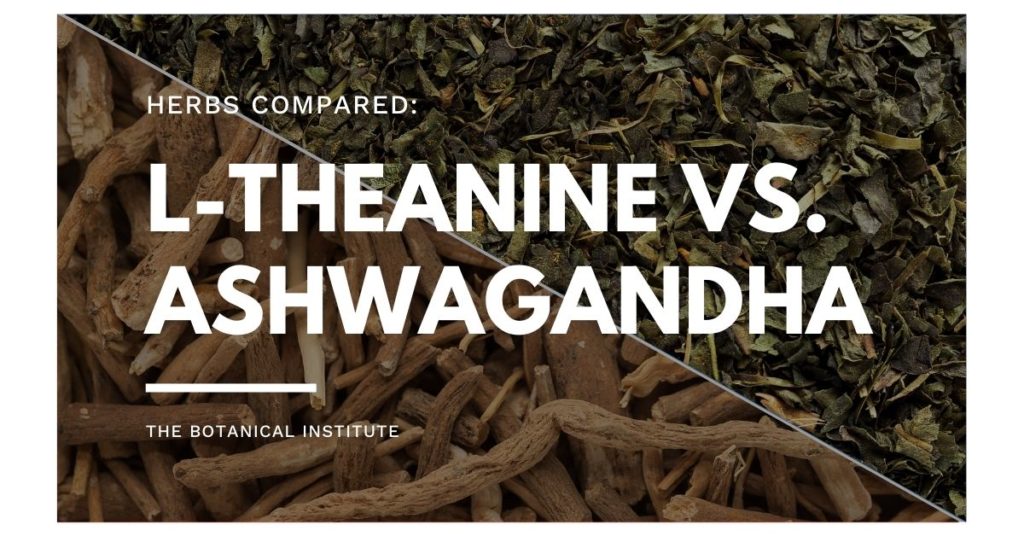 Ashwagandha vs. L-Theanine
