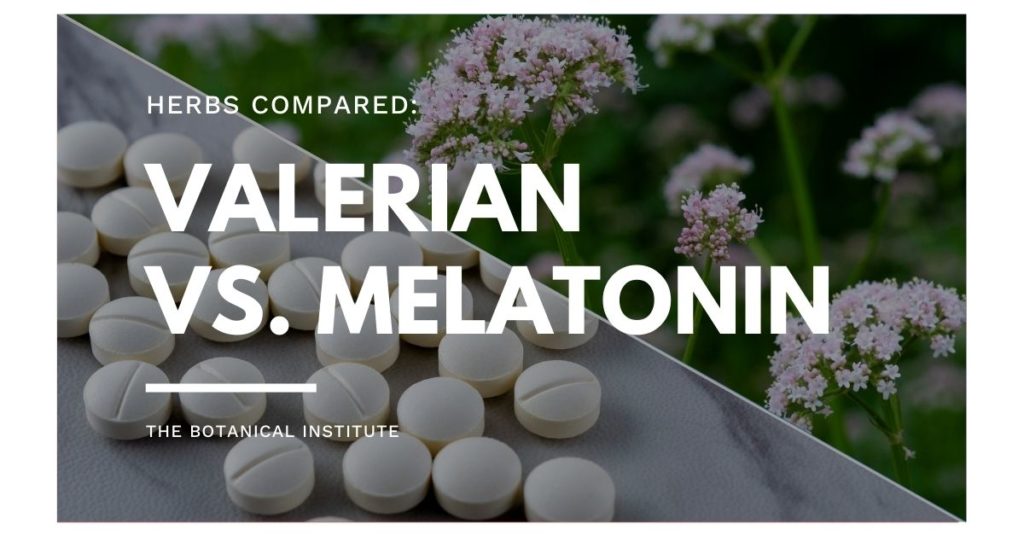valerian root versus melatonin