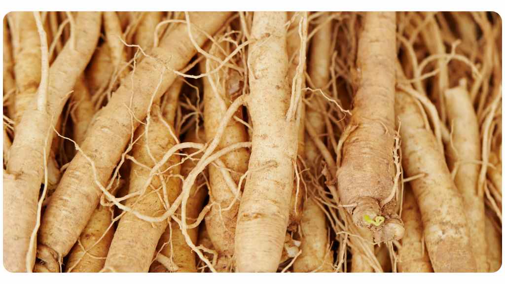ashwagandha vs. ginseng: ginseng health benefits