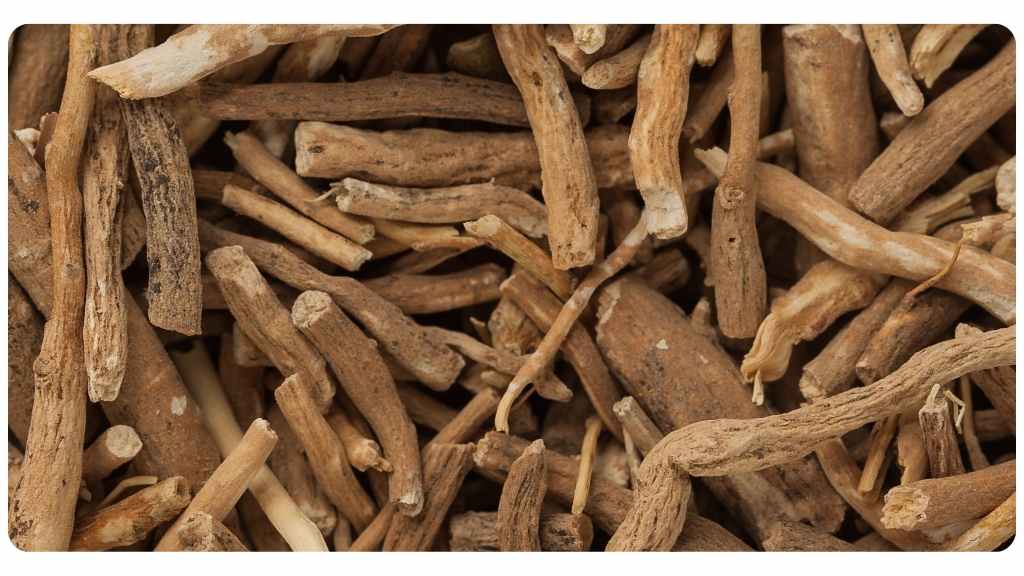 herbs for testosterone production - ashwagandha