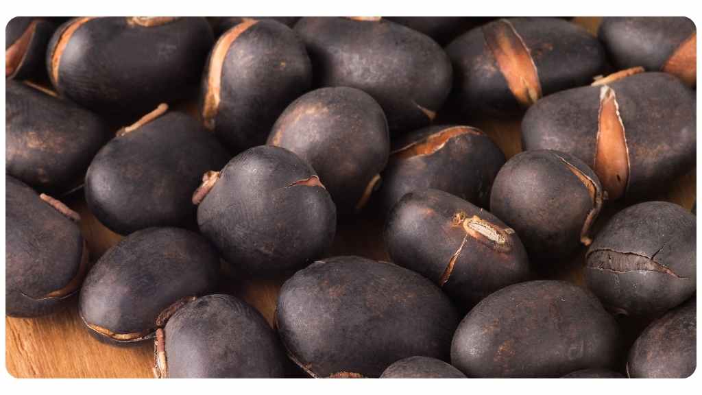 herbs for testosterone production - mucuna pruriens