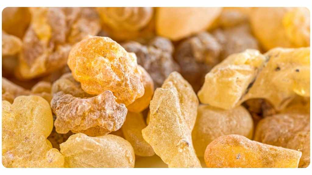 health benefits of boswellia