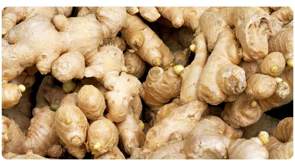 health benefits of ginger
