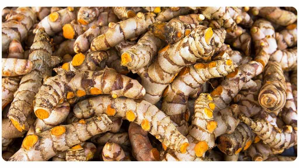 the 8 benefits of turmeric
