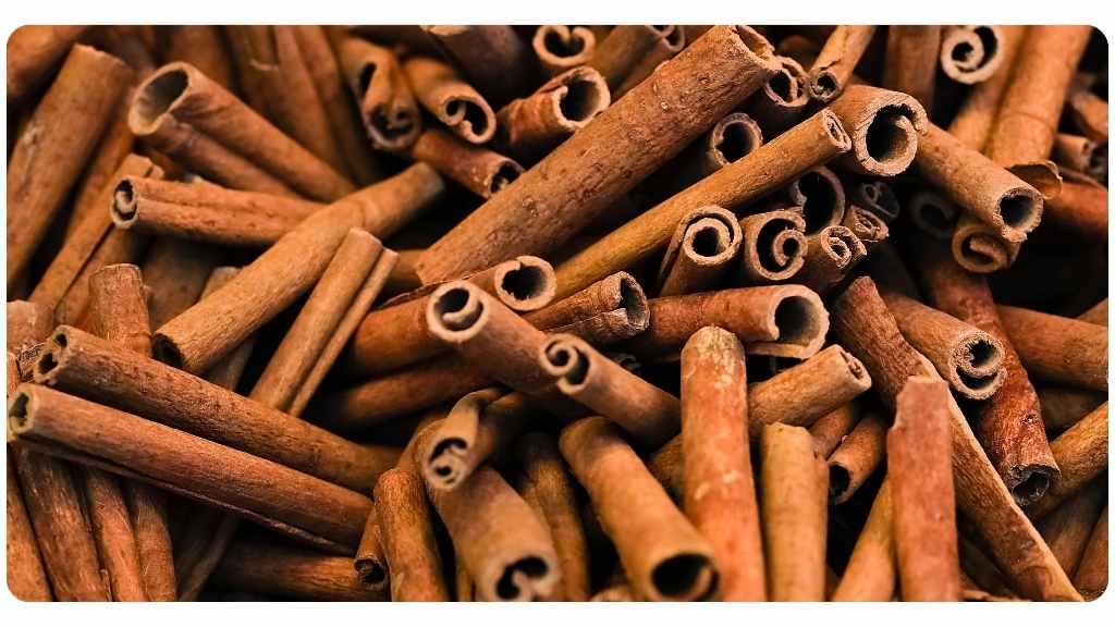 the health benefits of cinnamon
