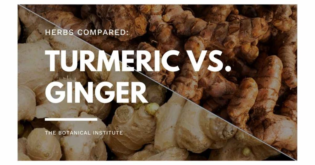 turmeric vs. ginger benefits of each herb