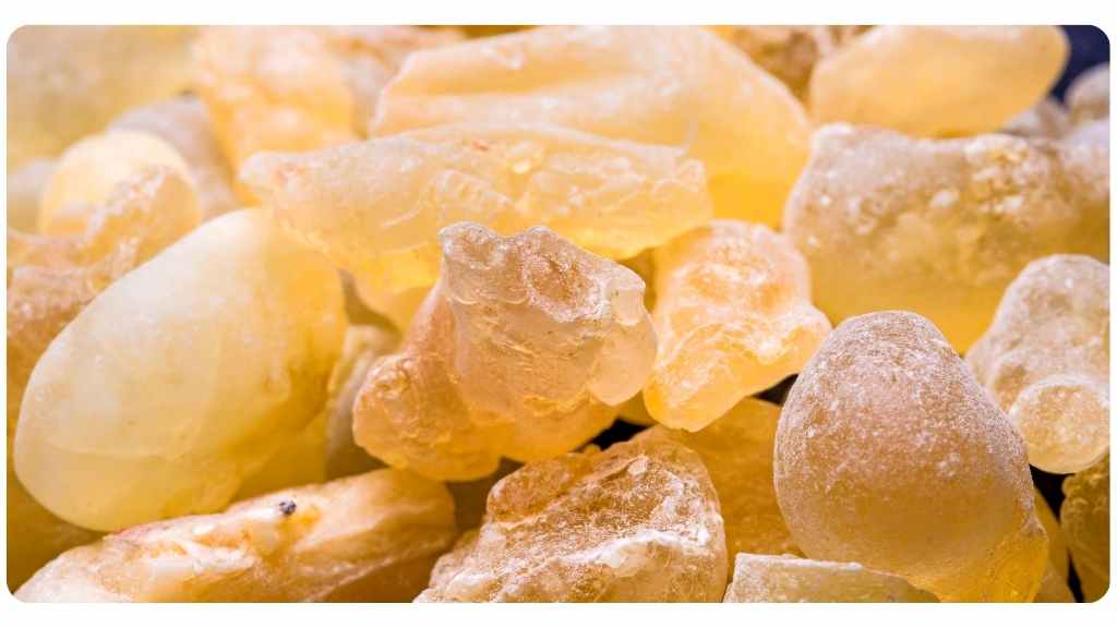 best herbs for inflammatory bowel disease (IBD)