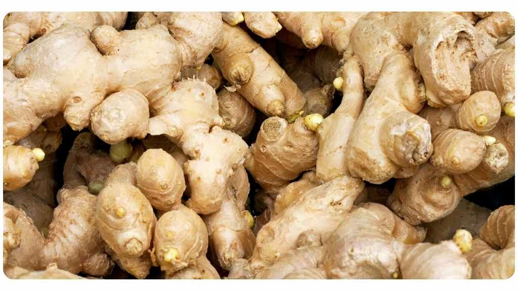 best herbs for arthritis