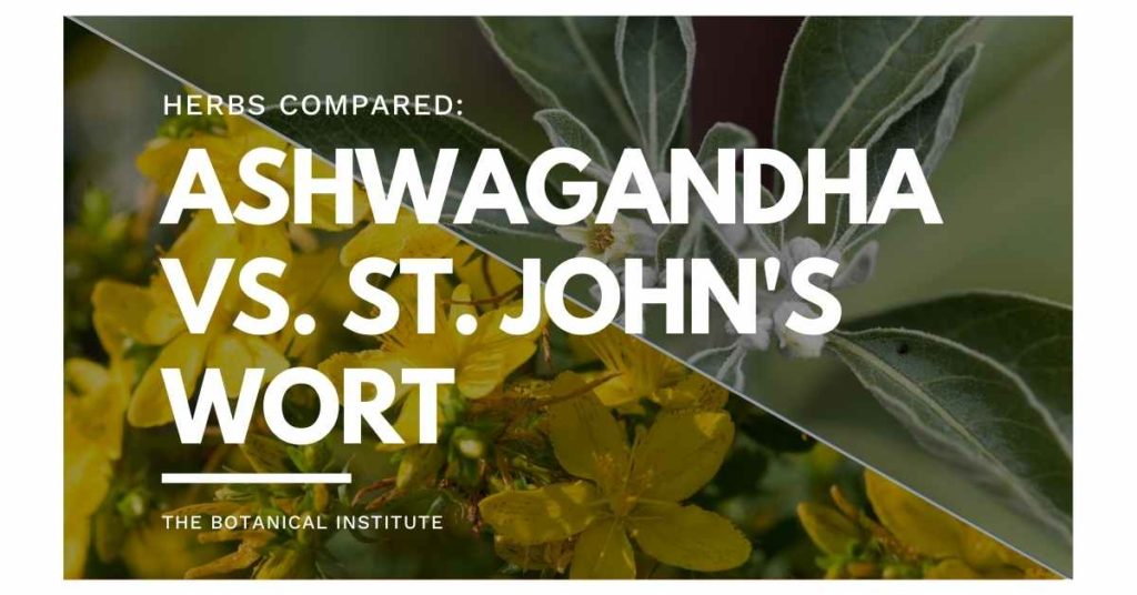 ashwagandha vs. st. john's wort: differences and similarities