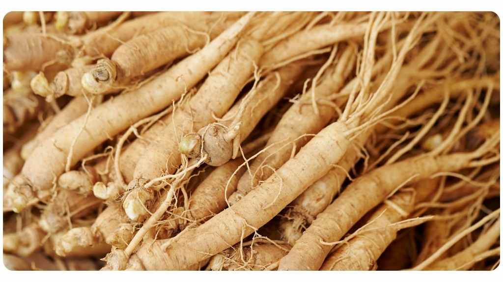 best herbs for asthma - asian ginseng