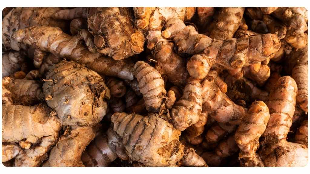 best herbs for asthma - close up image of turmeric