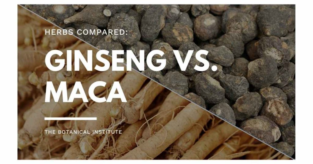 ginseng vs. maca similarities and differences