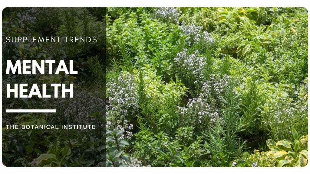 2022 dietary supplement trends - mental health awareness