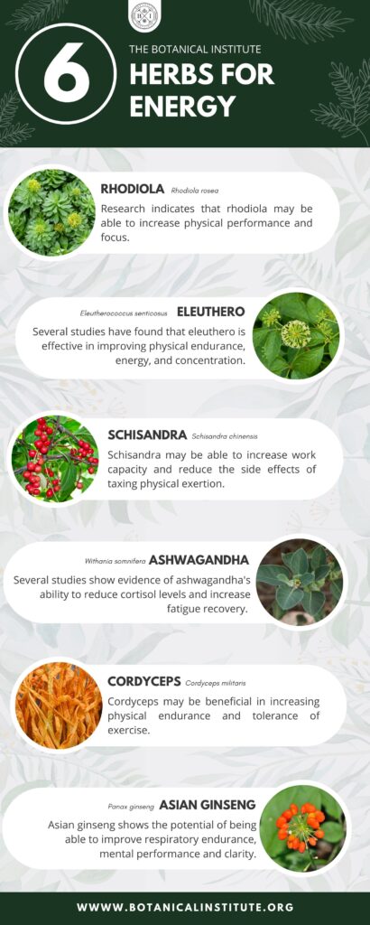 herbs for energy - infograph