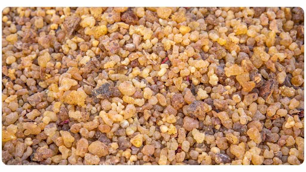 Botanical-Institute-Blog-Image-1024-x-576-px-1 6 benefits of boswellia