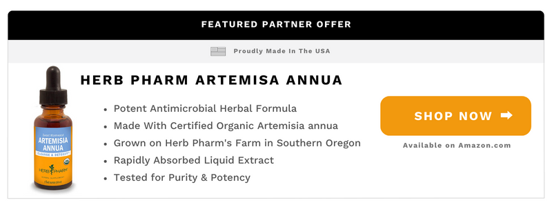 artemisia annua herbal supplement