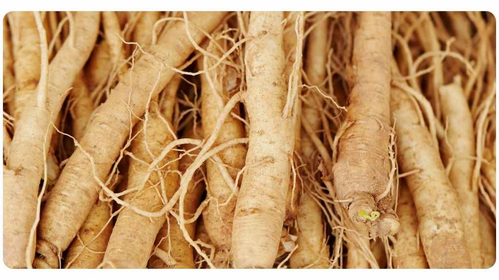 asian-ginseng-health-benefit-1 benefits of taking asian ginseng