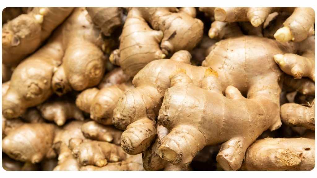 the 8 best herbs for treating fungal infections