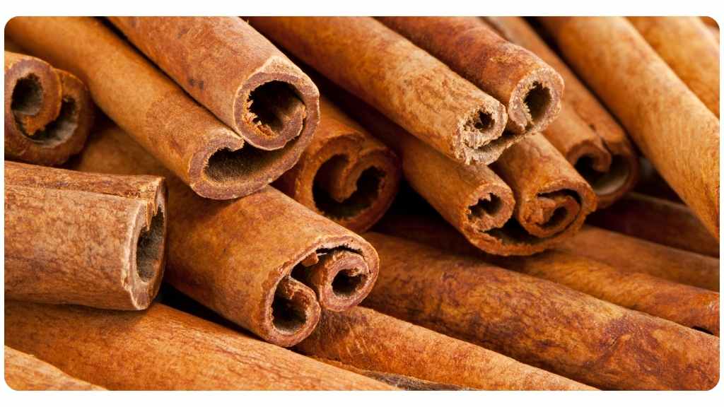 the 8 best antifungal herbs