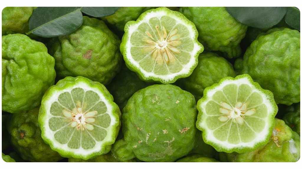 citrus-bergamot-benefit-1 citrus bergamot and its benefits
