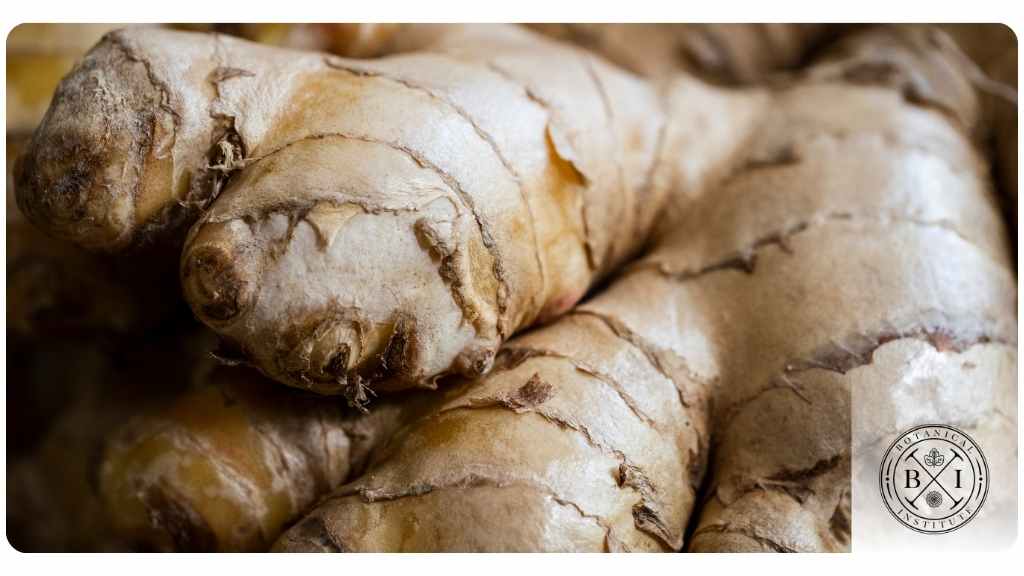 ginger-2 health benefits of ginger