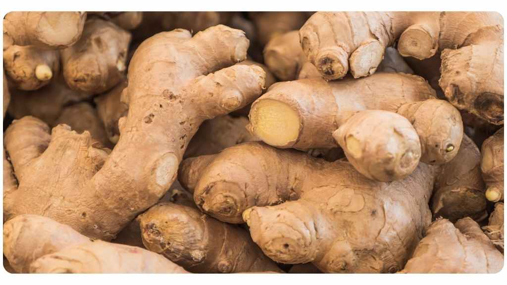 ginger for arthritis symptom benefits