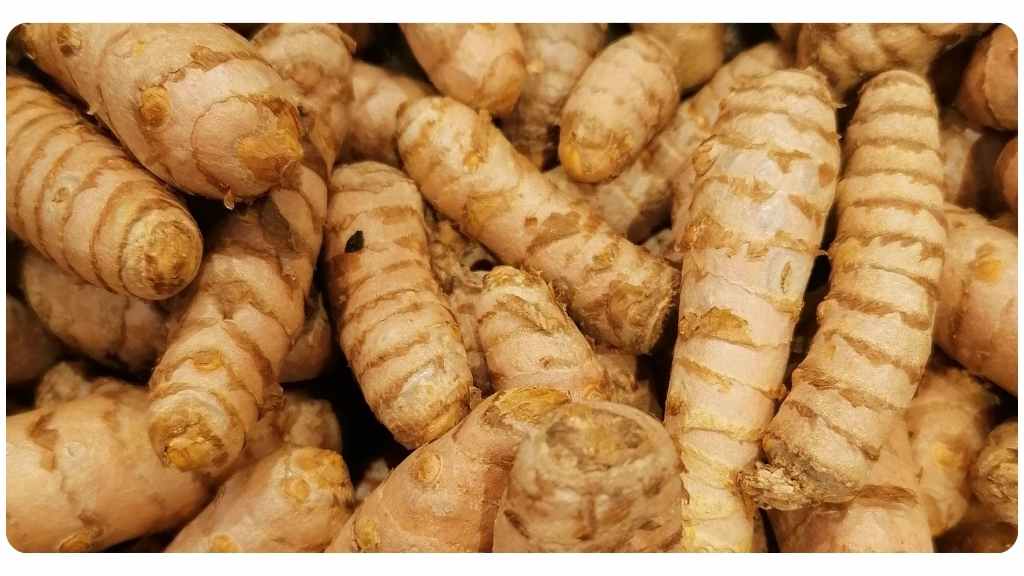 benefits of turmeric for arthritis