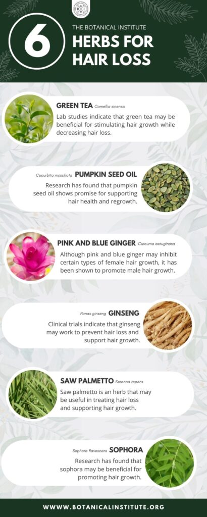 the 7 best herbs for hair loss infographic