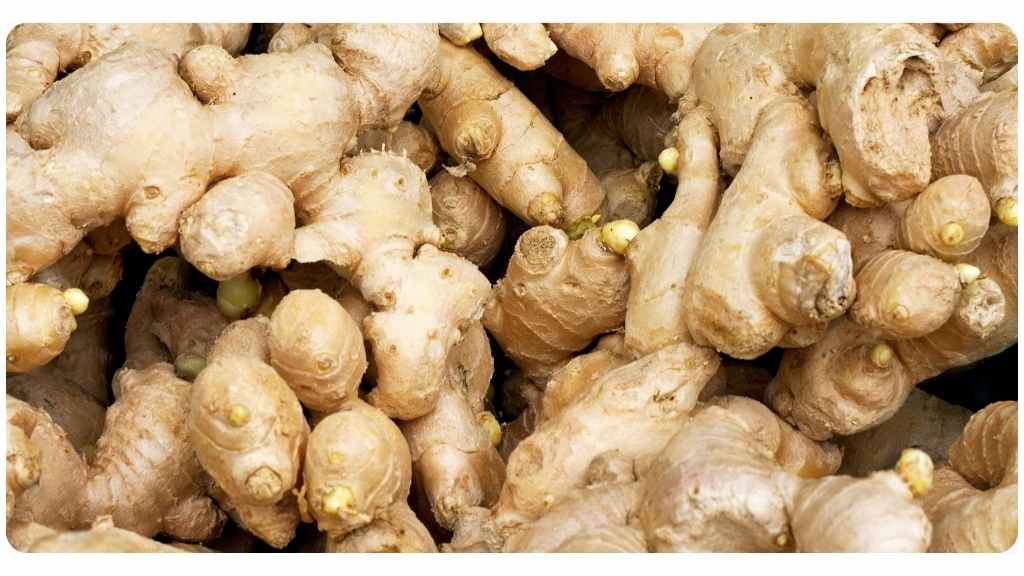 turmeric vs. ginger: health benefits of ginger