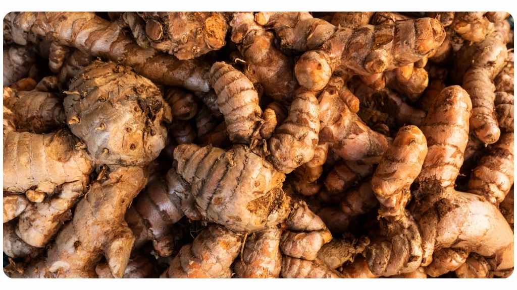 turmeric vs. ginger: the benefits of using turmeric