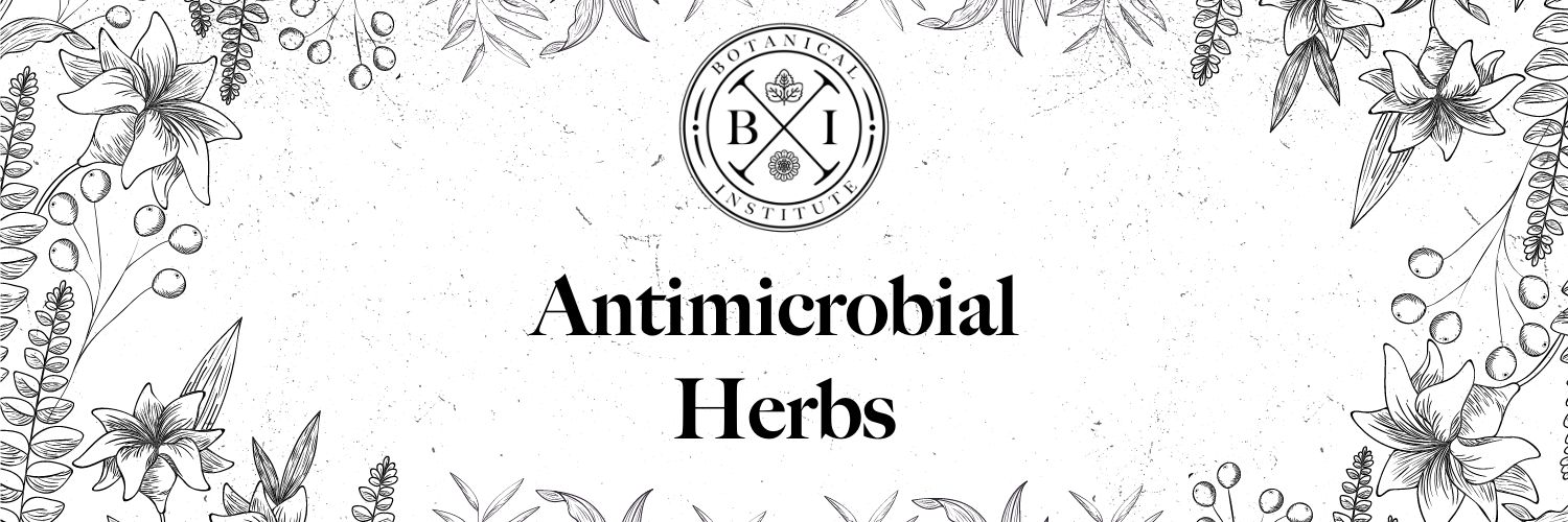 antimicrobial herbs