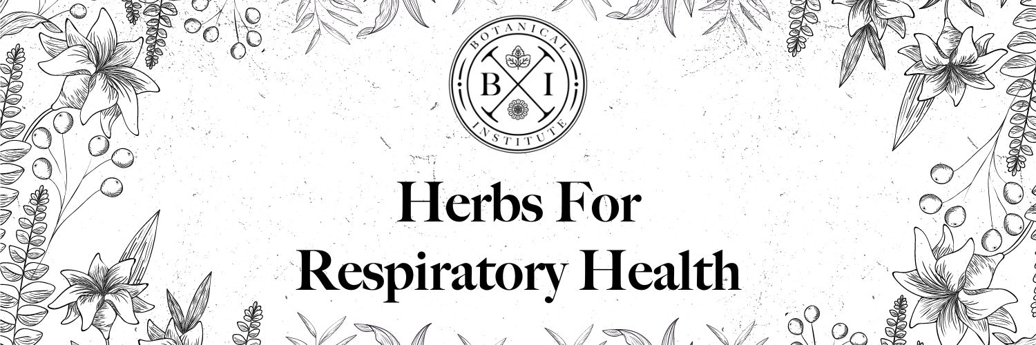 Herbs for Respiratory Health