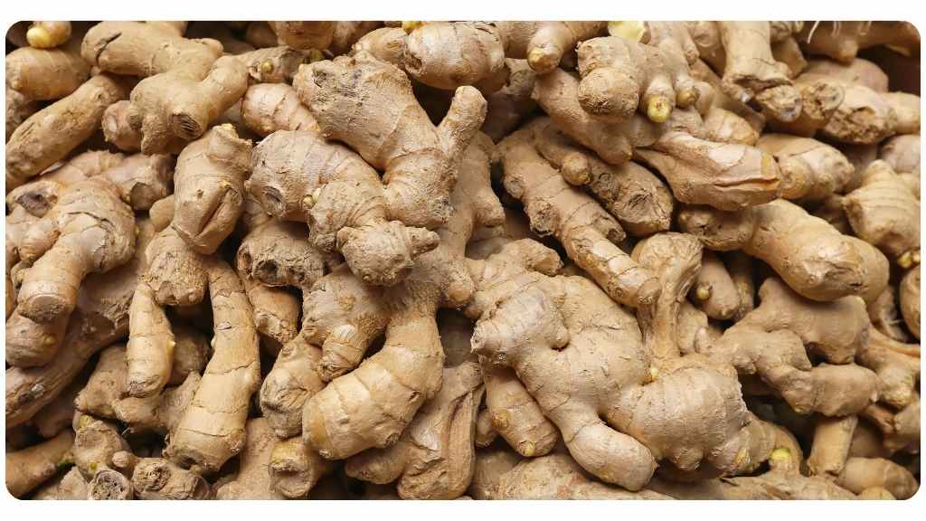 the best herbs for inflammatory bowel disease - ginger