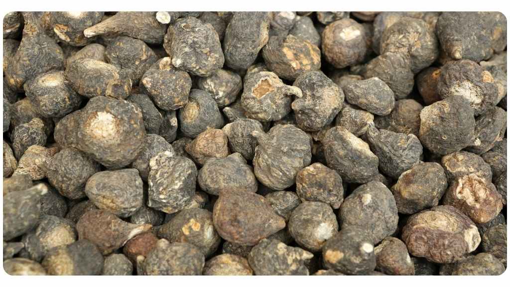 maca vs. tongkat ali: benefits of maca