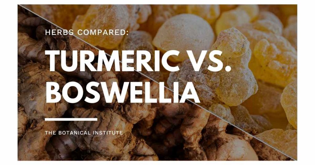 turmeric vs. boswellia: similarities and differences