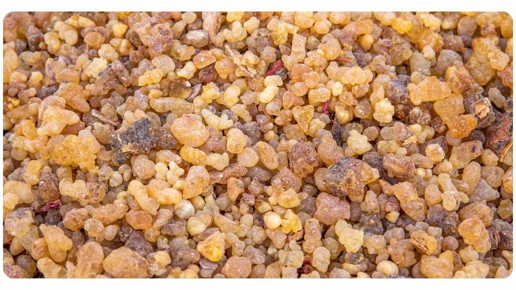 best boswellia supplements