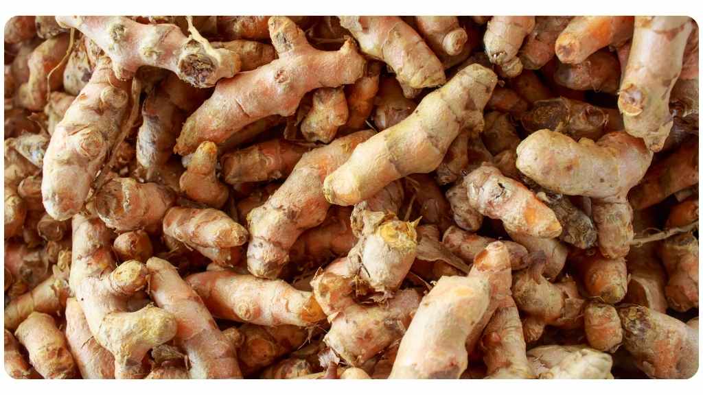 turmeric vs. boswellia: turmeric's health benefits