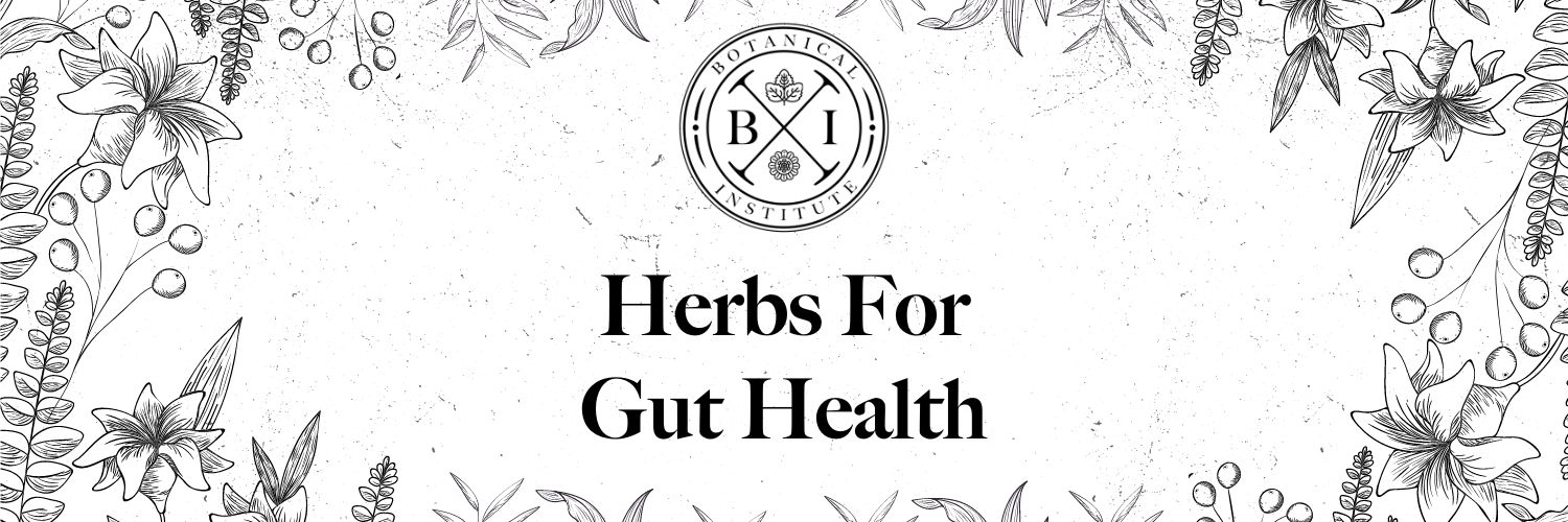 Herbs for Gut Health