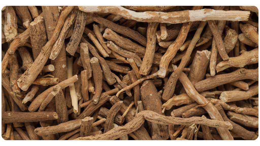 Holy basil vs. ashwagandha: ashwagandha health benefits