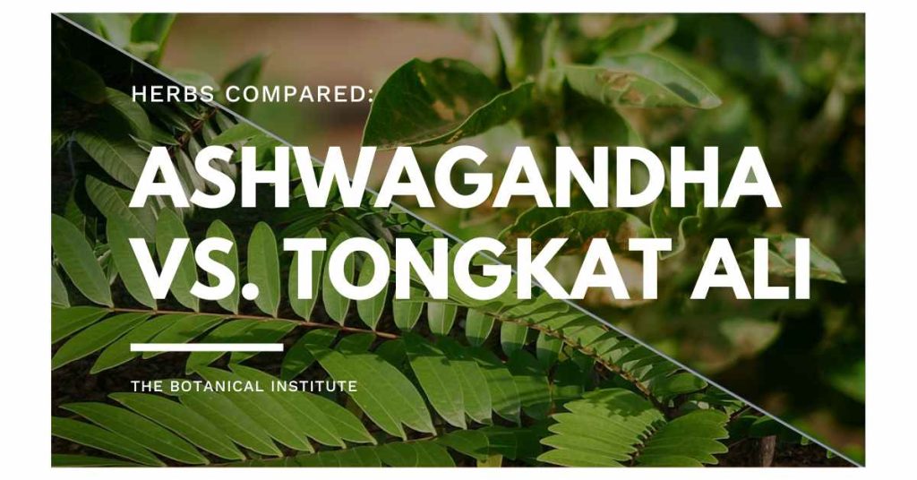 ashwagandha vs. tongkat ali - similarities and differences