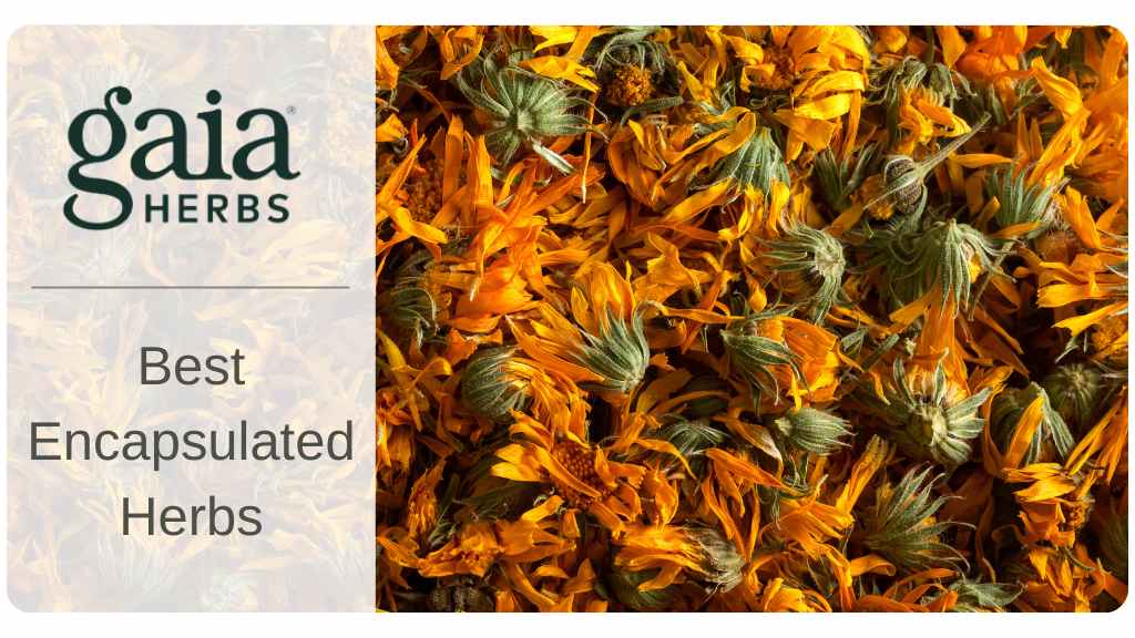 best herb suppliers - gaia herbs