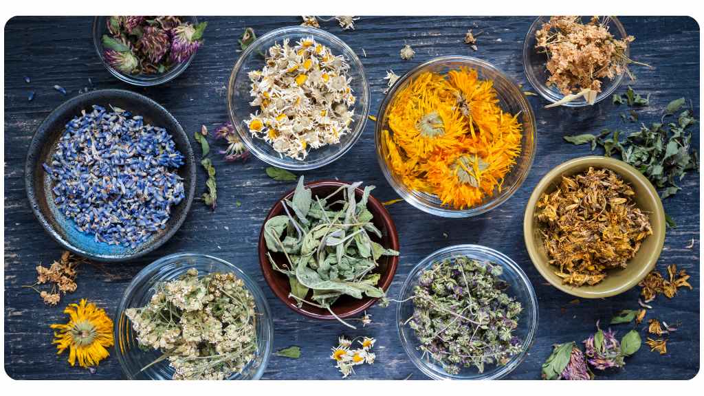 the best herb suppliers